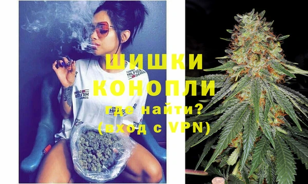 МДПВ Богородск