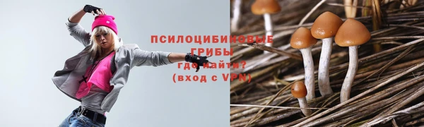 МДПВ Богородск