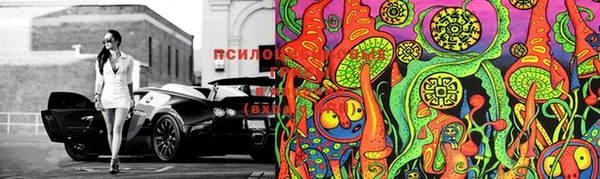 2c-b Богородицк