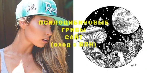 МДПВ Богородск